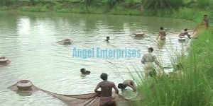 Brooder Collection Net