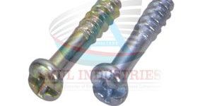 Self Tapping Screw