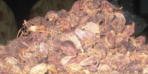 BAdi Elaichi (Semi Much Kuut)