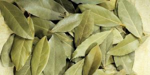Bay Leaves