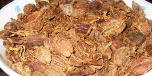 Big Cardamom (Sartaz)