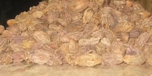 Black  Cardamom (Pure N Sure)