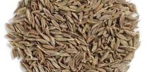 Cumin Seeds