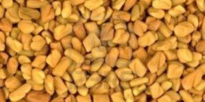Fenugreek Seeds