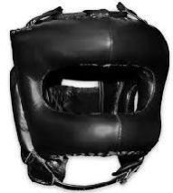 Professional Head Guard