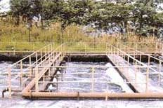 Sewage Treatment Plant