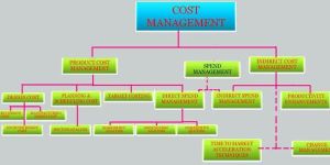 Management Consultancy