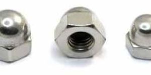Stainless Steel Nuts