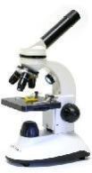 Scientific Microscope