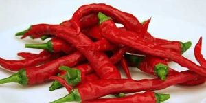 Red Chili