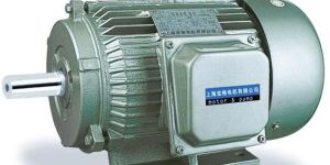 Electrical Induction Motor
