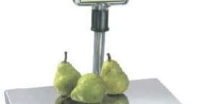 Electronic Table Top Scale