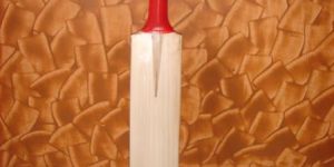Willow Cricket Bats