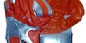 Wicket Keeping Gloves