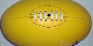 Sports Ball Usi Rpr 08