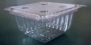 Plastic Fruit Containers