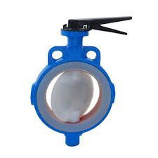 Teflon Lined Butterfly Valve