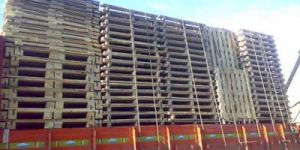 Wooden Pallets - 01