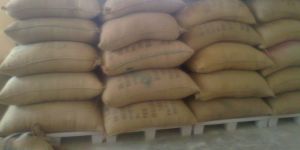 Plastic Pallet for Floor Storage