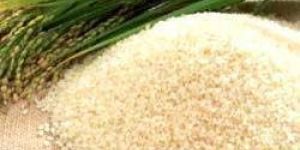 Sella Rice - (pusa-1121)