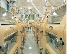 Flour Mills