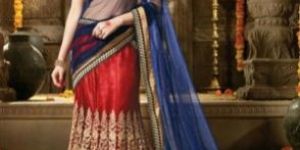 Embroidered Lehnga Choli