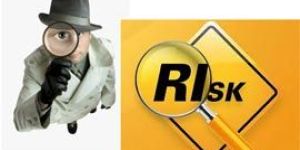 Enterprise Risk Management Services