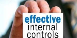 Internal Financial Control Services