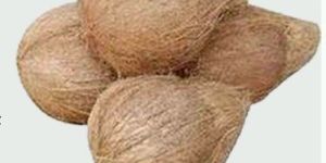Husked Coconut