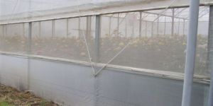 Woven Insect Net for Net and Green House