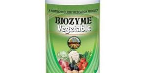Biozyme Vegetable Fertilizer