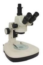 Trinocular Microscope