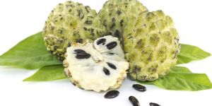 Custard Apple