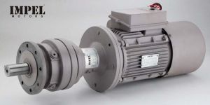 Customized Motors