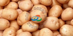Fresh Potato