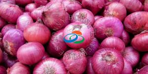 Red Onion