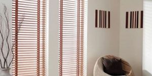 Vinyl Blinds