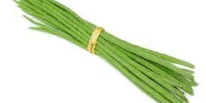 Fresh Moringa Drumstick