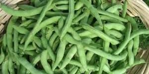Fresh Green Beans