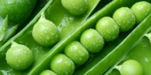 Fresh Green Peas