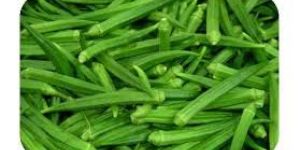 Fresh Okra