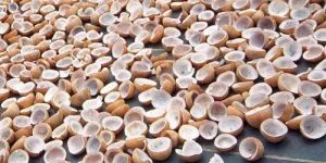 Coconut Copra