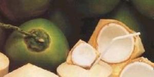 Fresh Tender Coconut