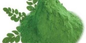 Moringa Leaf Powder