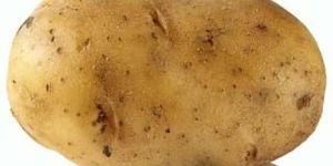 Fresh Potato