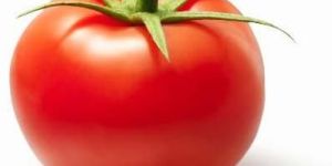 Fresh Tomato