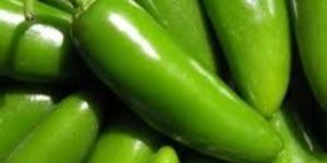 Fresh Jalapenos