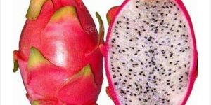 Fresh Dragon Fruit