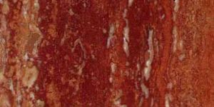 Rain Forest Brown Mable 02