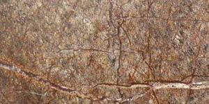 Rain Forest Brown Marble 03